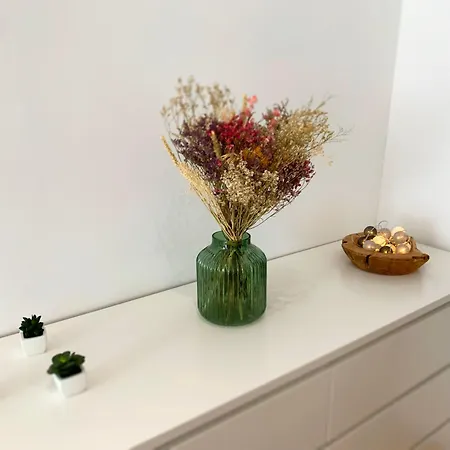 Centre-ville Cosy Wifi Et Netflix Апартаменты *